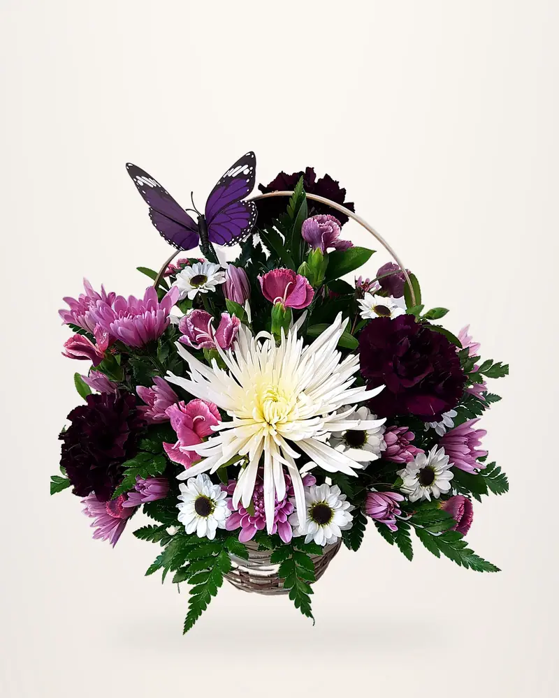 Purple and white spider mum arrangement